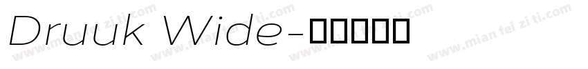 Druuk Wide字体转换
